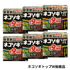 ネコソギトップF 3kg×6個 除草剤 顆粒 レインボー薬品 ネコソギトップW後継品