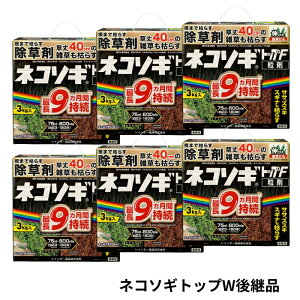 lR\MgbvF 3kg×6  C{[i@lR\MgbvWpi