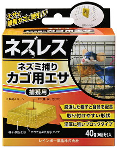 lYX lY~߂JSpGT 40g×20 C{[iy񏤕iz