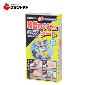 TAKAGI S˂݂ƂV[gnEX^ 5 36Zbg Vy񏤕iz