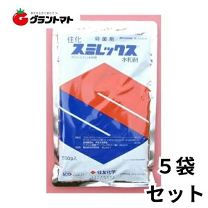 X~bNXa 500g×5 KEۍ _ ZFw y񏤕iz