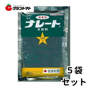 i[ga 500g×5 ΓaEۍ _ ZFwy񏤕iz