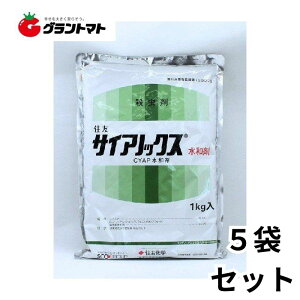 N[|pMax1,000~OFFI TCAmbNXa 1kg×5 ؗp`EڎE _ ZFwy񏤕iz