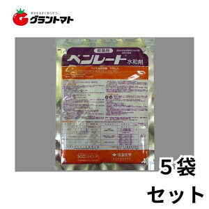 x[ga 100g×5܃Zbg ΓyaQE`aEۍ _ ZFwy[ցz