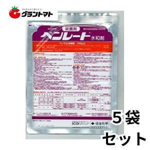 x[ga 500g×5܃Zbg ΓyaQE`aEۍ _ ZFw