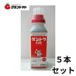 _gcn 250g×5{Zbg ϐ^\E _ ZFw