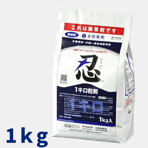 E1L 1kg pꔭ _ ZFwy񏤕iz