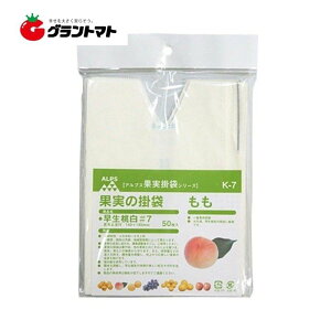 ʎ p| K-7  7 VJbg 2500(50×50Zbg)  F{X