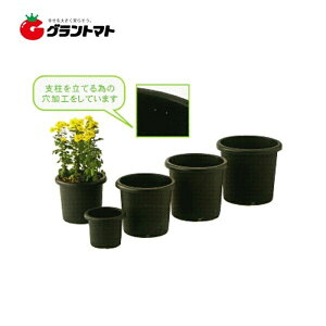 e8 30P[X̔ BKACJy񏤕iz