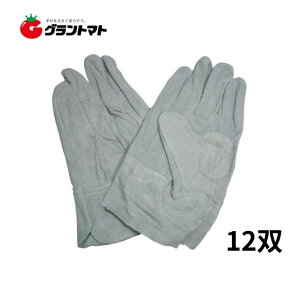 v wD t[TCY 12o 209001 ~^jR[|[V