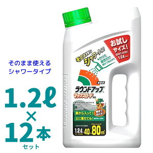 EhAbv}bNX[hAL 1.2L 12{ ߍς݃V[ _ Yw