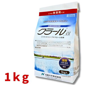 Iōő100%|CgobN y݌ɌzN[1L 1kg p _ Ywy񏤕iz