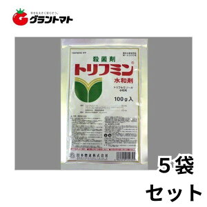 gt~a 100g×5܃Zbg Y^Eۍ _ {By[ցz