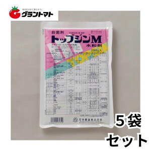 gbvWMa 250g×5 YKEۍ _ {By񏤕iz