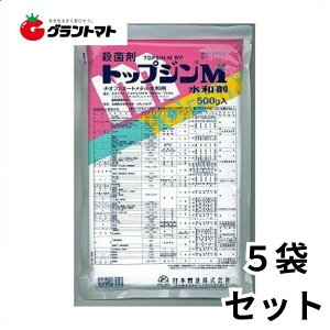 gbvWMa 500g×5܃Zbg YKEۍ _ {By񏤕iz