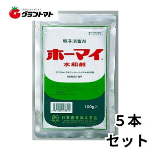 z[}Ca 100g 5 qō Eۍ _ {By񏤕izy[ցz