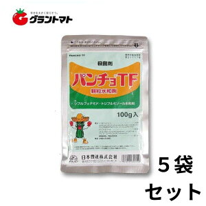 p`TFa 100g 5 ǂ񂱕aɌEۍ _ {B y񏤕izy[ցz