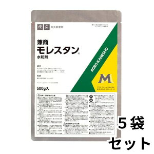 X^a 500g×5 EEہEE_j _ AOJlVEy񏤕iz