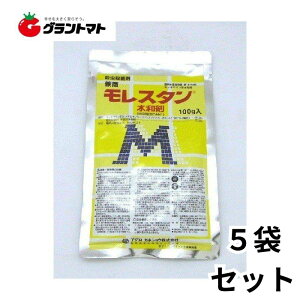 X^a 100g×5 EEہEE_j _ AOJlVEy񏤕izy[ցz