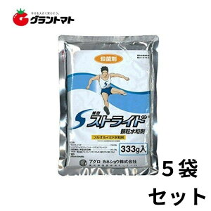 XgCha 333g×5܃Zbg 񂲌Eۍ _ AOJlVEy񏤕iz