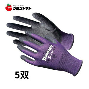 11/5 11:00`23:59P3{I ^tbhX 5o p[v MTCY VRS Ag