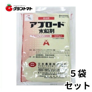 Av[ha 500g×5܃Zbg ΃JCKVERiW~E _ {_