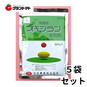 ILVa 500g×5 ΎہE׋ێE _ {_y񏤕iz