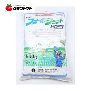 tH[JXVbgW{ 500g(50g×10) 20Zbg 邾̏ꔭ p Ȍy񏤕iz