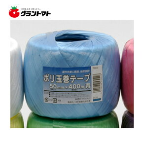 �|���ʊ��e�[�v �� TE402 50mmx400m 40���� PE �{�����w�H��