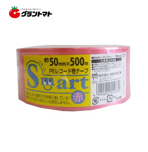 �X�}�[�gPE���R�[�h���e�[�v �� ES453 50mmx500m ������30���� �{�����w�H��