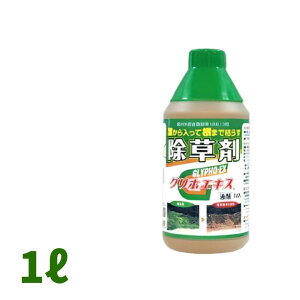 y2020`ő1000~OFFN[|zOzGLXt 1L 20{@st܁@ԏ镨Y