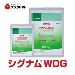 VOiWDG 333g×30 _uubN^ؗpEۍ BASFy񏤕iz