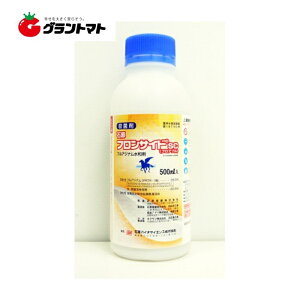 yVSSԒP2{I tTChSC 500ml×20{ Eۍ ΌoCITCGXy񏤕iz