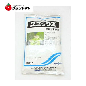 jbNXa47 500g×20 SEȂpEۍ _ VWF^Wp