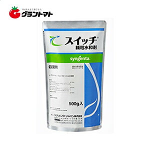 XCb`a 500g×20 Eۍ _@VWF^Wpy񏤕iz