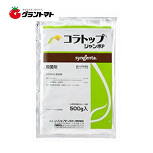 Iōő100%|CgobN RgbvW{P 500g×10 p aEۍ VWF^Wpy񏤕iz