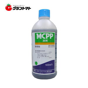 Iōő100%|CgobN MCPPt 500ml×20{ XMiN[o[ɌŁEΒnp ۘaoCIP~J