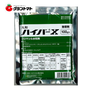 12/10 19~22P3{ nCo[Xa 100g×60 Βnp _ ۘaoCIP~Jy񏤕iz