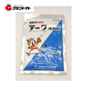 e[Na 250g×40 Eۍ \h _ O䉻wAOy񏤕iz