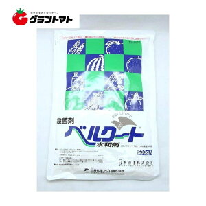 xN[ga 500g×20 Eۍ _ O䉻wAOy񏤕iz