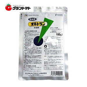 Iga 100g×25 \ZE _ AX^CtTCGXy񏤕iz