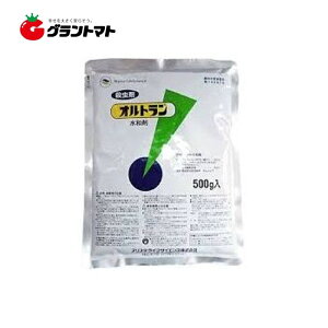 y2020`ő1000~OFFN[|zIga 500g×20 \ZE _ AX^CtTCGXy񏤕iz