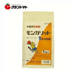 11/5 11:00`23:59P3{I Kbg 1kg×12 pEۍ _ O䉻wAOy񏤕iz