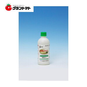 ^`Kt@Cgt 500ml×20{ pEۍ A _ O䉻wAOy񏤕iz