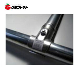 Iōő100%|CgobN T^WCg 42.7mm×30 PǃpCvp VZC