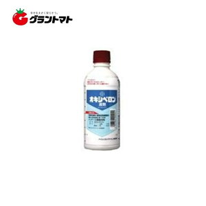 Iōő100%|CgobN ILVxt 500ml×20{ }ؗpi _ oCGNbvTCGXy񏤕iz