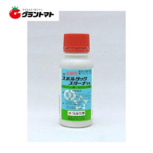 X|^bNX^[iSE 100ml×10{ pqŎEۍ _ ZFwy񏤕iz