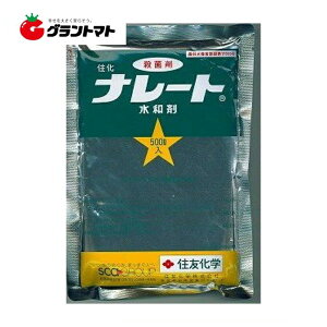 i[ga 500g×20 ΓaEۍ _ ZFwy񏤕iz