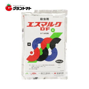 GX}NDF BTa 500g×20 ^`EڎE _ ZFw