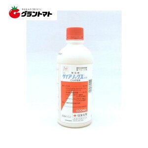 TCAmbNX 500ml×20 ؗp`EڎE _ ZFwy񏤕iz